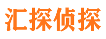 石峰市侦探调查公司